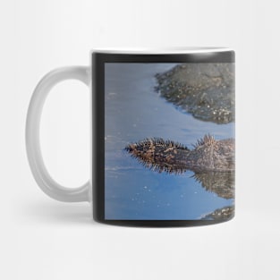 Marine Iguana Mug